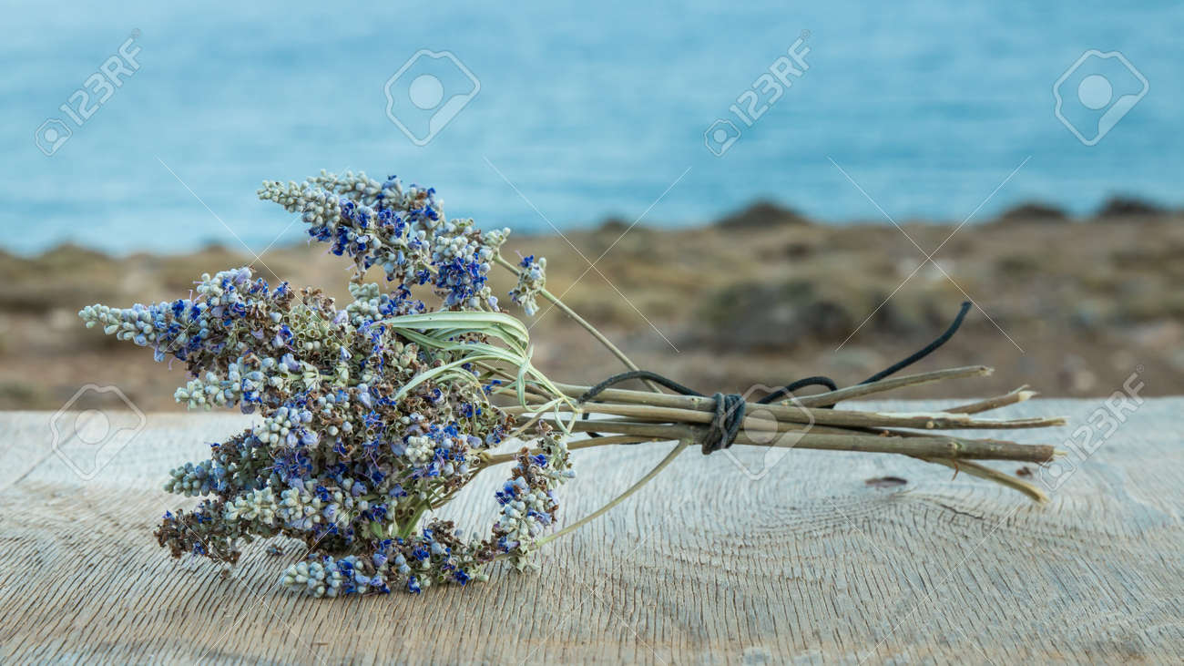 Beautiful Greek wild lavender on the background of the sea on natural wooden background. Copy space for text. Aromatherapy and essential oil concept. Space for you product. - 152914517 Beautiful Greek wild lavender on the background of the sea on natural wooden background. Copy space for text. Aromatherapy and essential oil concept. Space for you product. - 152914517