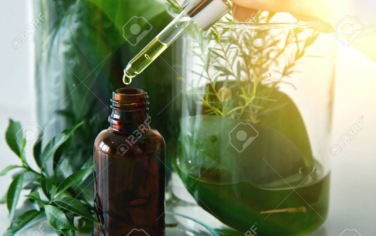 Scientist with natural drug research, Natural organic botany and scientific glassware, Alternative green herb medicine, Natural skin care beauty products, Research and development concept. - 81803261 Scientist with natural drug research, Natural organic botany and scientific glassware, Alternative green herb medicine, Natural skin care beauty products, Research and development concept. - 81803261
