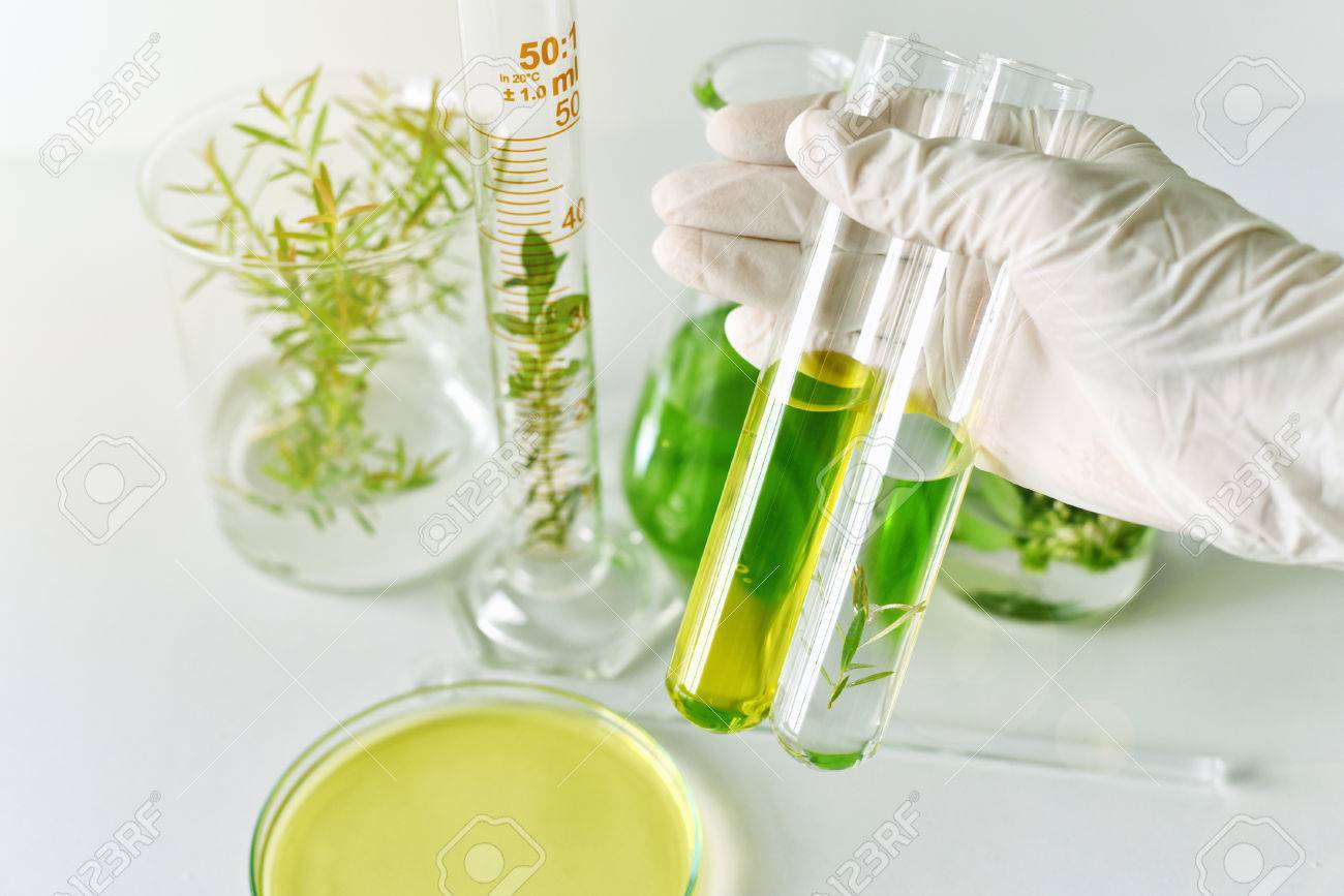 Natural Medicine Development In Laboratory Scientist Researches Stock Photo Picture And Royalty Free Image Image 83885919