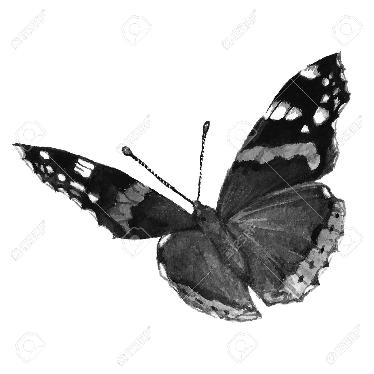 Watercolor butterfly black and white handmade