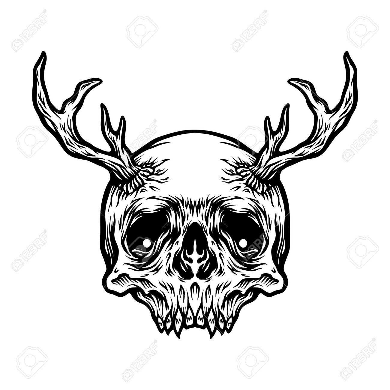 Intrigue Ink | Montana Buffalo Skull Sticker, image size:1300x1300