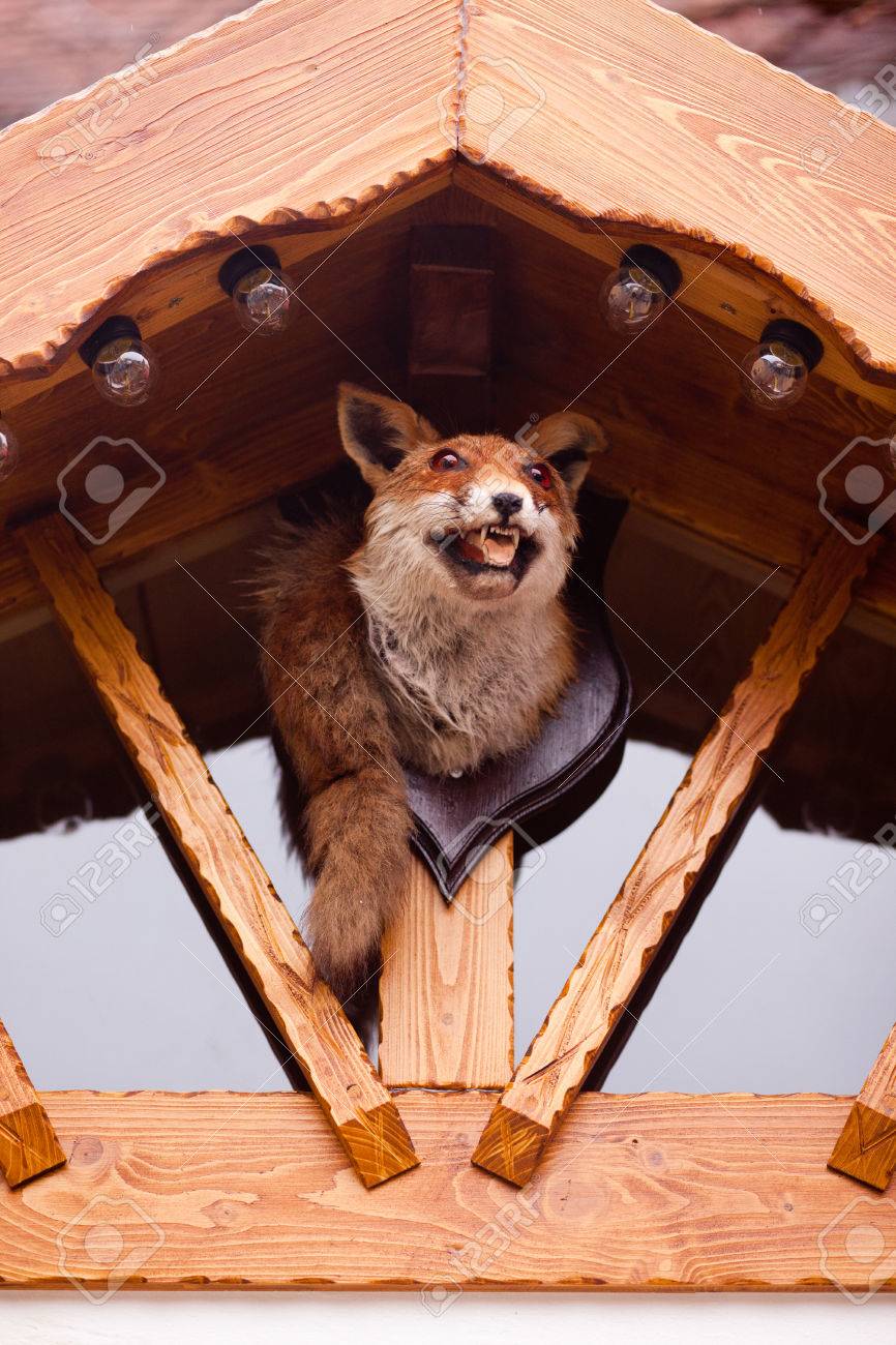 キツネの剥製 木製台座付き