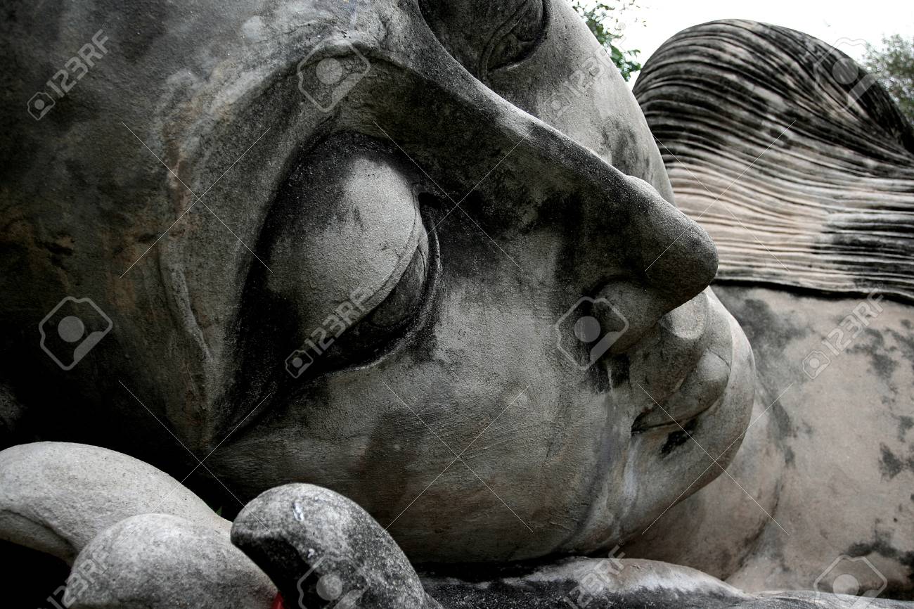 etiam-dictum-ipsum-a-felis