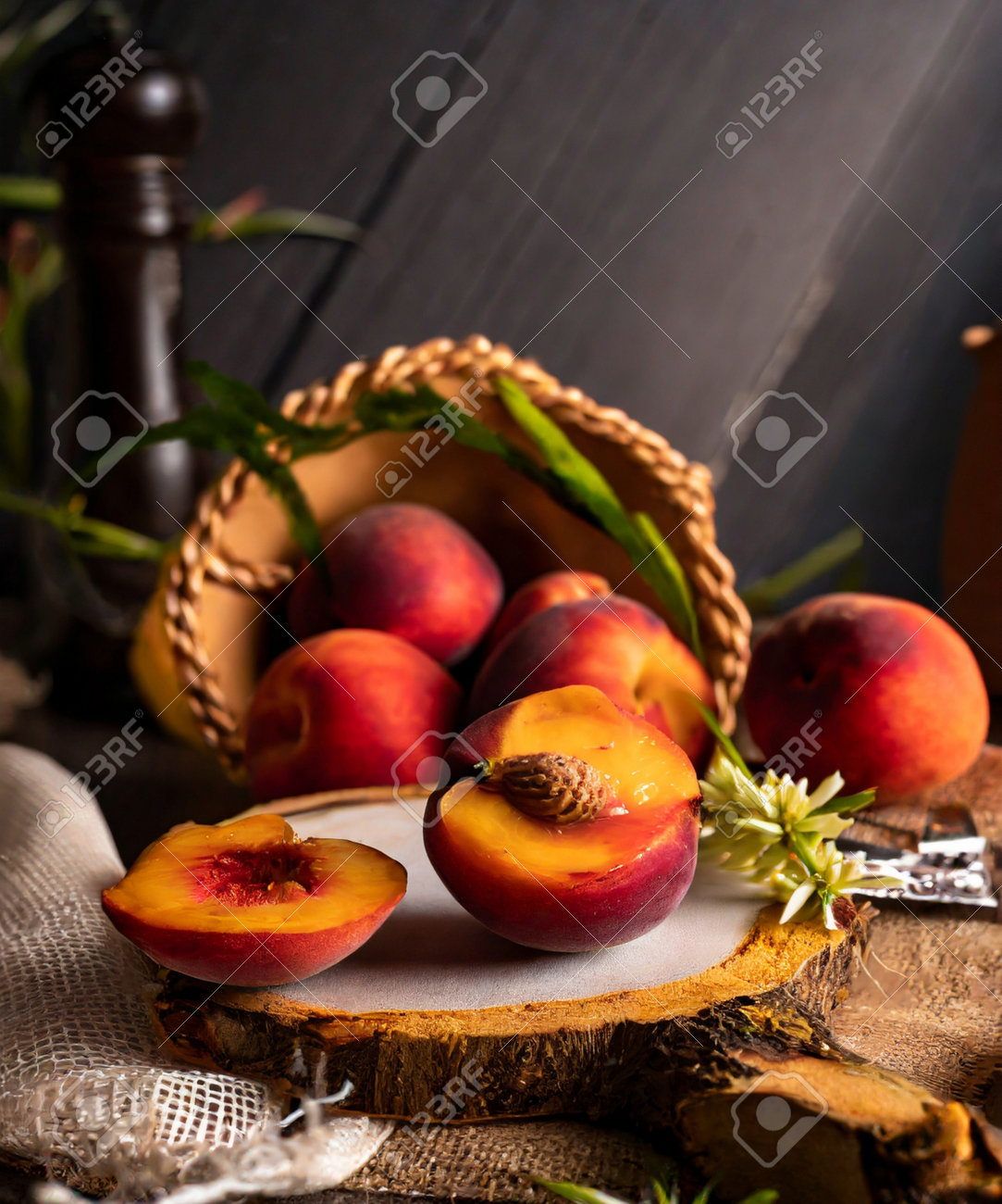 etiam-dictum-ipsum-a-felis