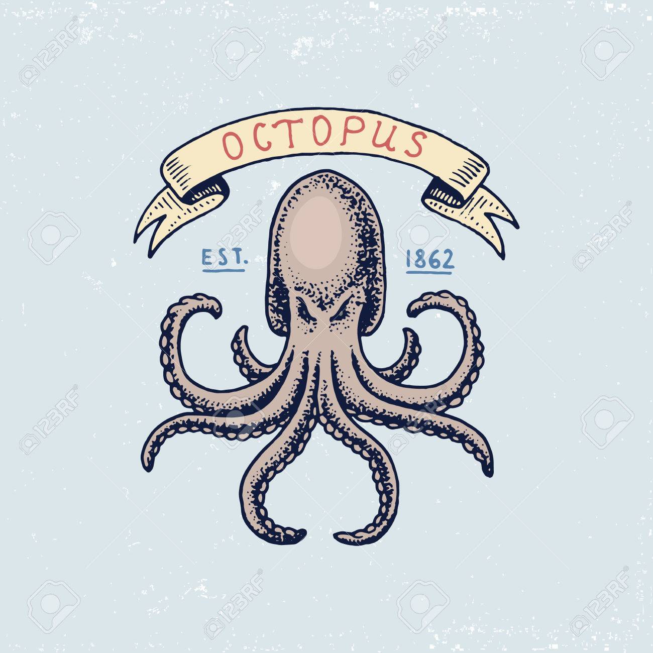 刻まれたヴィンテージ 手描き 古い ラベルまたは大西洋の潮汐波 タコや海の生き物のバッジのセットです のイラスト素材 ベクタ Image