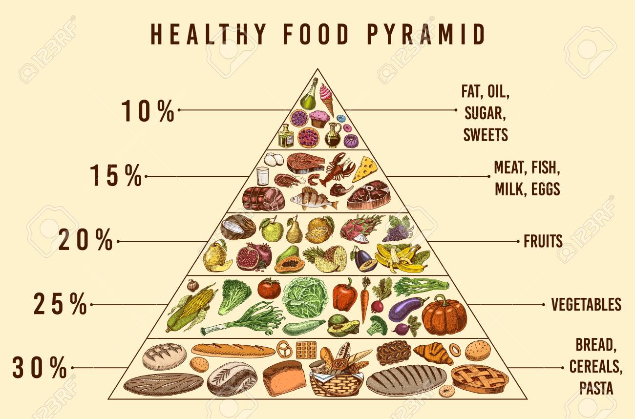 Healthy food plan pyramid. Infographics for Balanced Diet percentage. Lifestyle concept. Ingredients for meal plan. Nutrition guide. Hand drawn in vintage style. - 129902057 Healthy food plan pyramid. Infographics for Balanced Diet percentage. Lifestyle concept. Ingredients for meal plan. Nutrition guide. Hand drawn in vintage style. - 129902057