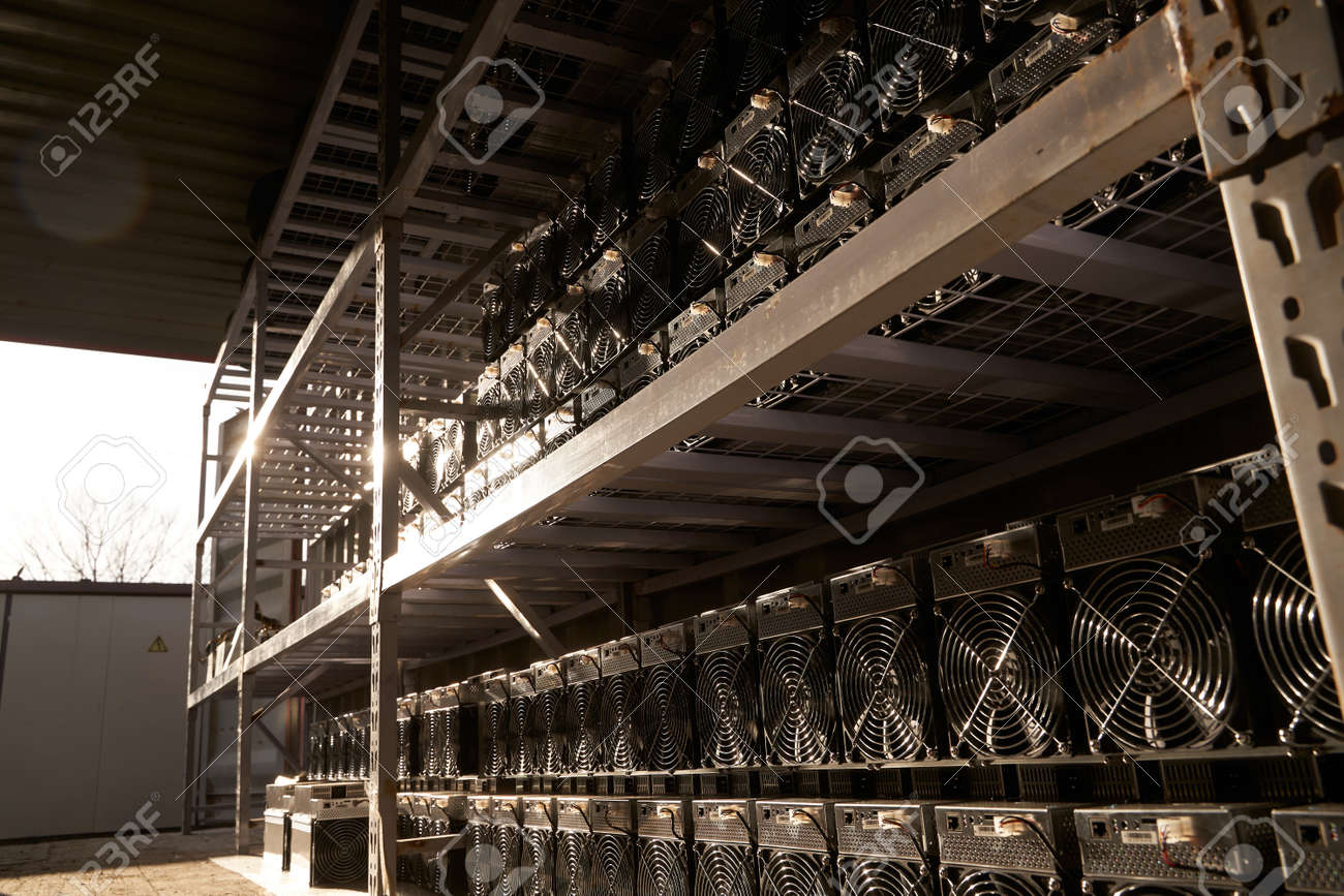 Bitcoin ASIC Miners In Warehouse. ASIC Mining Equipment On Stand Racks For Mining  Cryptocurrency In Steel Container. Blockchain Techology Application  Specific Integrated Circuit Units Storage. Stock Photo, Picture and Royalty  Free Image.