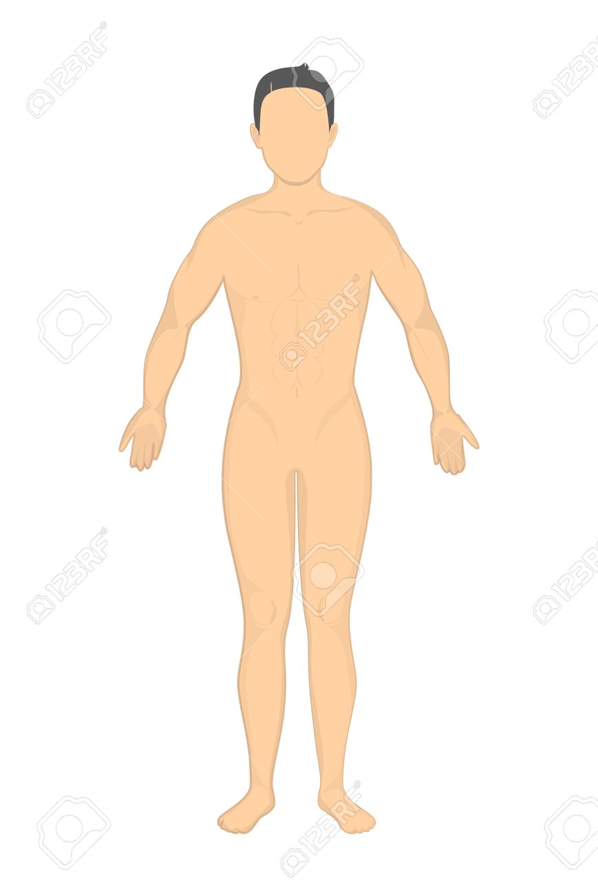 Hombre Desnudo Aislado. Maqueta Hombre Sin Cara Y Los Genitales. Concepto  De Maniquí Para La Biología, La Ciencia O La Moda. Ilustraciones svg,  vectoriales, clip art vectorizado libre de derechos. Image 63286086