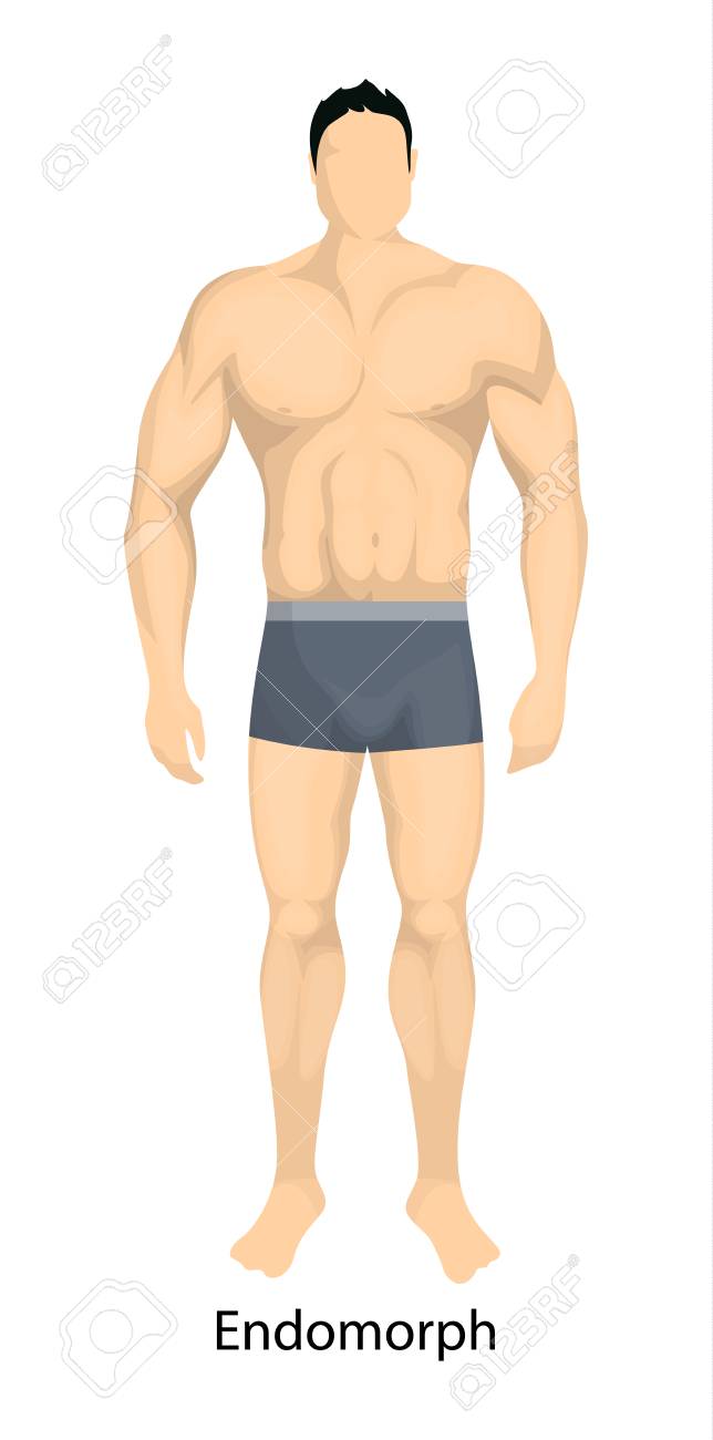 male body types endomorph body type of man men body types