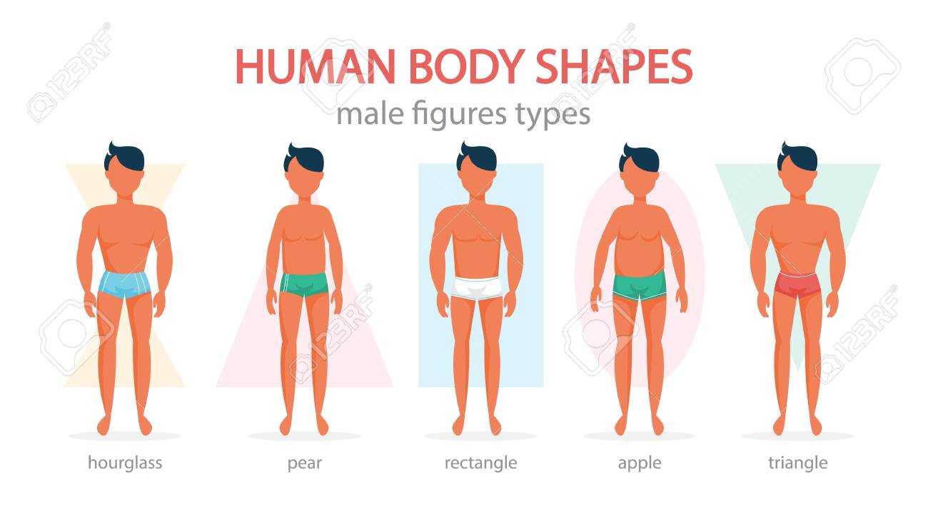 In Shape Male Triangle Body Shape Workout Male Inverted Triangle
