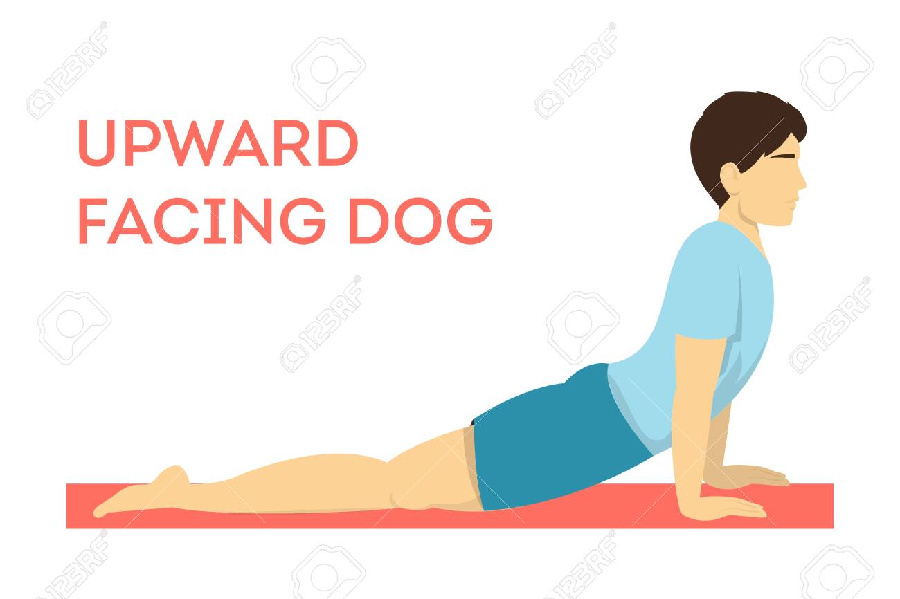Upward Facing Dog Deutsch Upward Facing Dog Deutsch