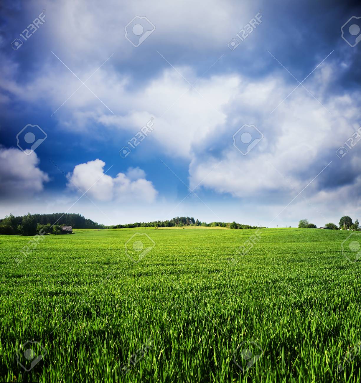 Green Field Background Lithuania Stock Photo Picture And Royalty Free Image Image