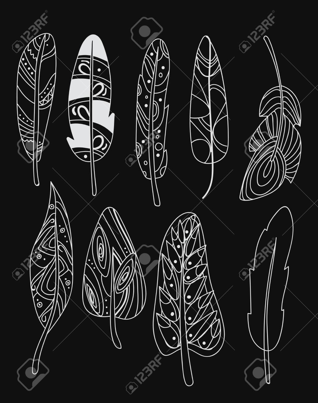Ensemble De Vecteurs De Plumes Doiseaux Stylisés Collection De Plumes Pour La Décoration Dessin Noir Et Blanc à La Main Art Linéaire Tatouage