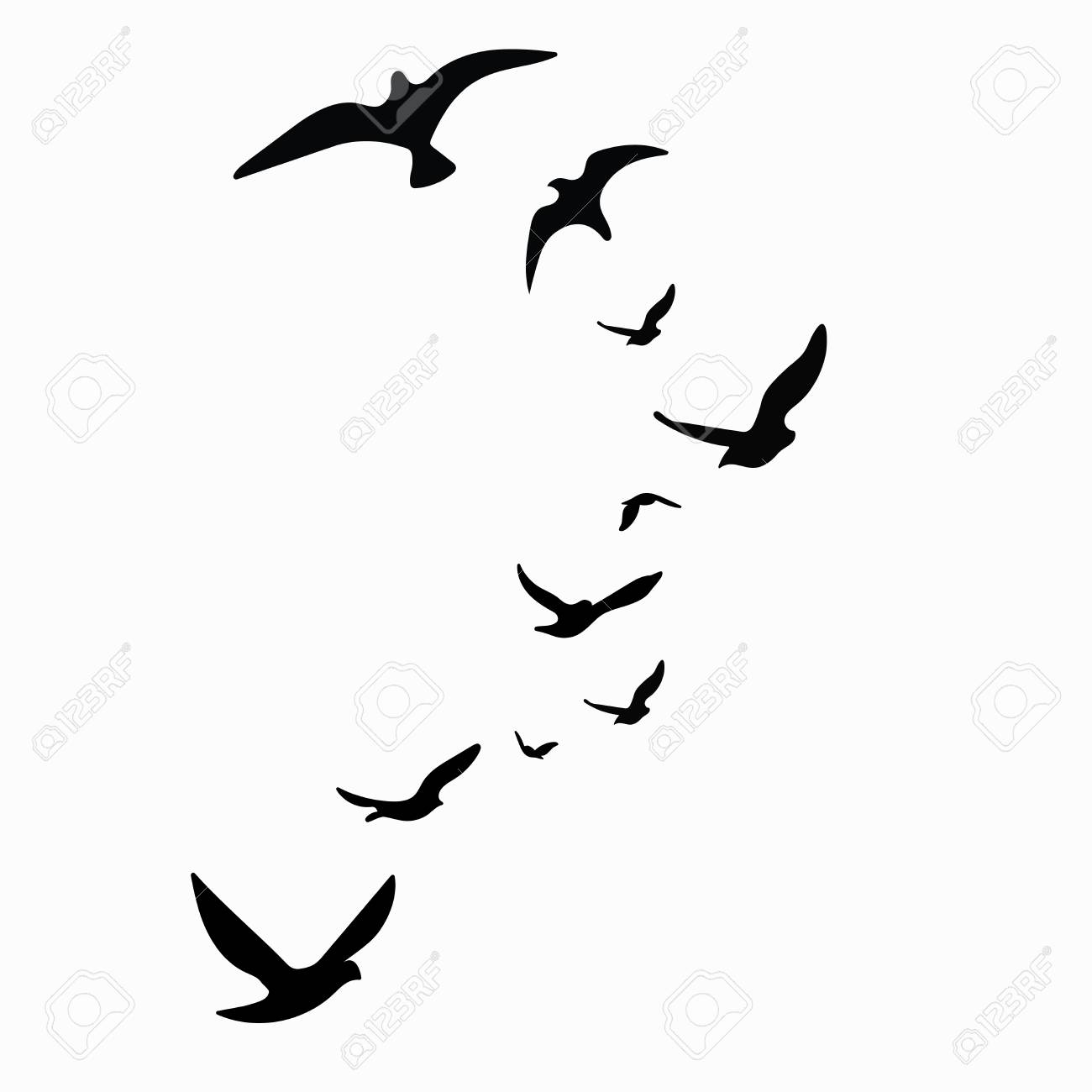 silhouette of a flock