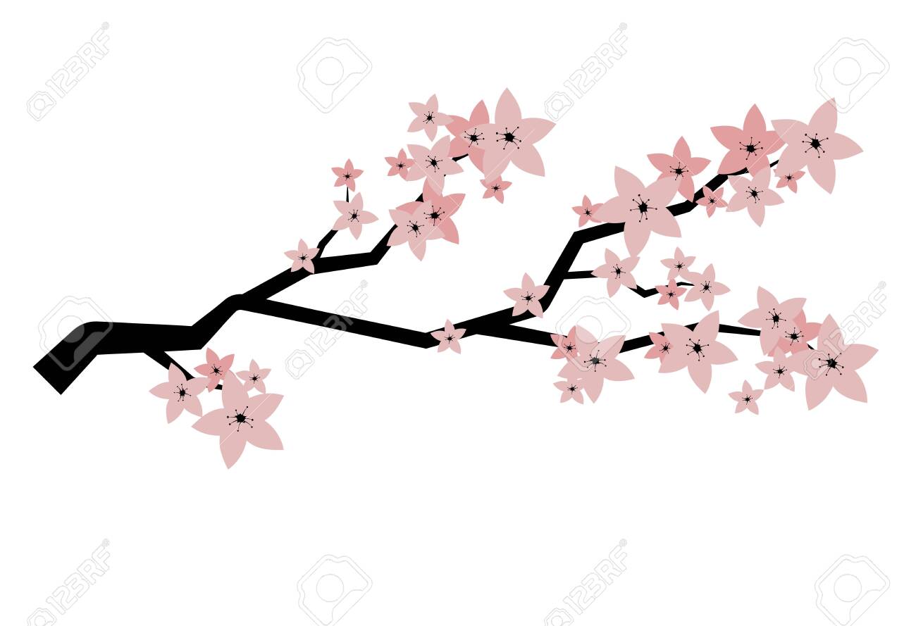 Blooming Cherry Sakura Branch With Flower Buds Cartoon Drawing Royalty Free Cliparts Vectors And Stock Illustration Image