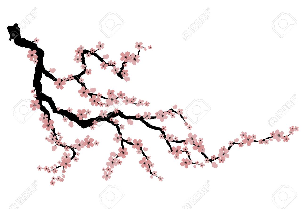 Blooming Cherry Sakura Branch With Flower Buds Cartoon Drawing Royalty Free Cliparts Vectors And Stock Illustration Image