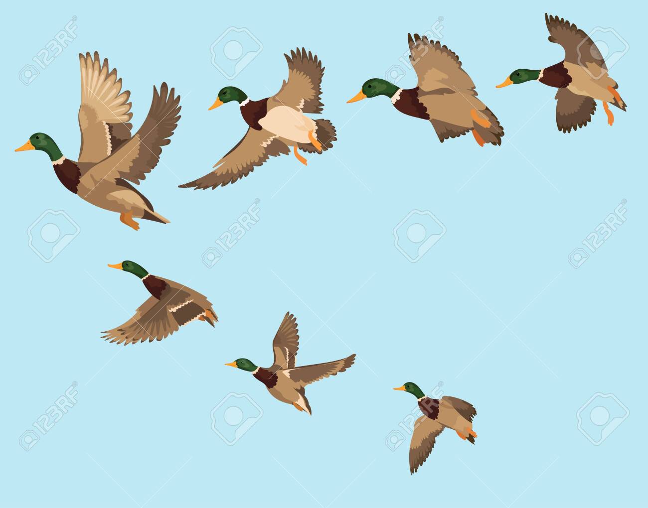 Bandada de gaviotas volando sobre un cielo azul - ¡Clips y Vídeos HD de  Gratis en Videezy!, image size:1300x1020