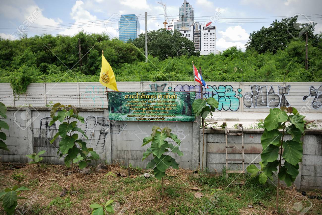 バンコク タイ王国 8 月 4 日植栽王の名誉の Makasan 警察署 タイのバンコクで 12 年 12 月 5 日に創立 85 周年記念 誕生日プロジェクト S チーク の写真素材 画像素材 Image