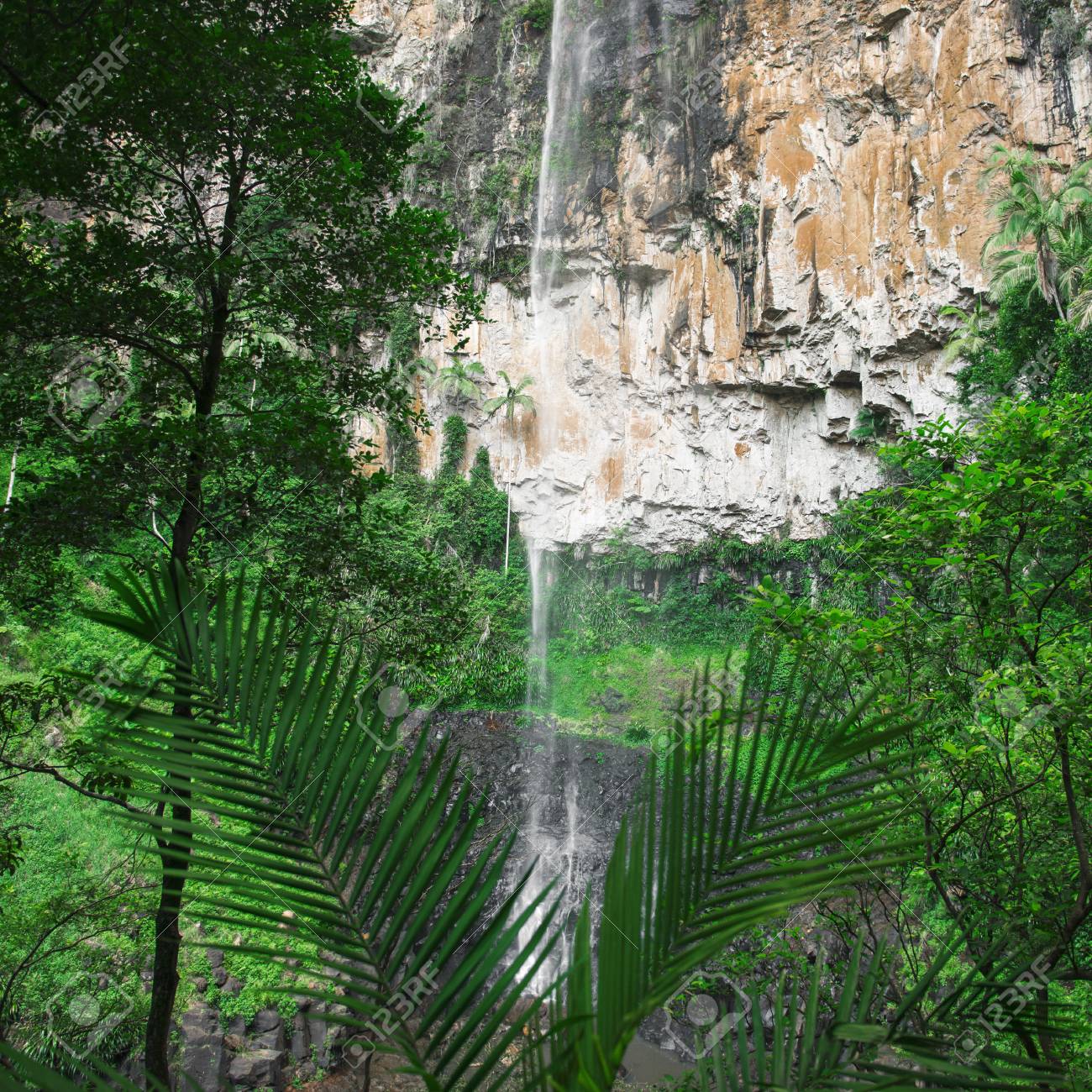 Purling Brook Falls At Springbrook National Park In Queensland