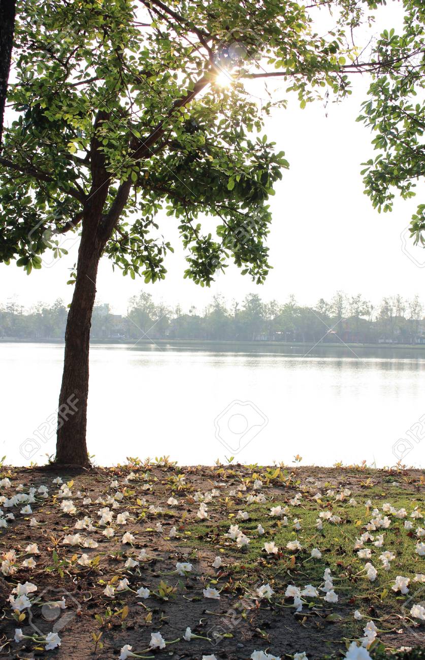 太陽と影 の写真素材 画像素材 Image