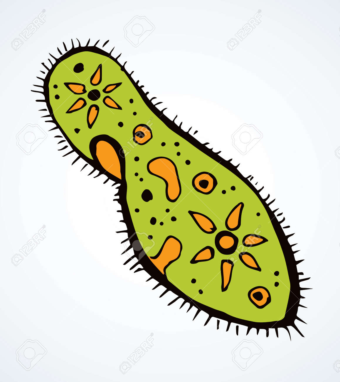 Forma Ovalada Abstracta Diminuta Protista Ameba Organelle Pellicle Elemento  Parásito. Línea Negra Dibujada A Mano Laboratorio Microbio Icono Signo  Símbolo Pictograma Diagrama Boceto Arte Doodle Diseño De Estilo De Dibujos  Animados. Vista
