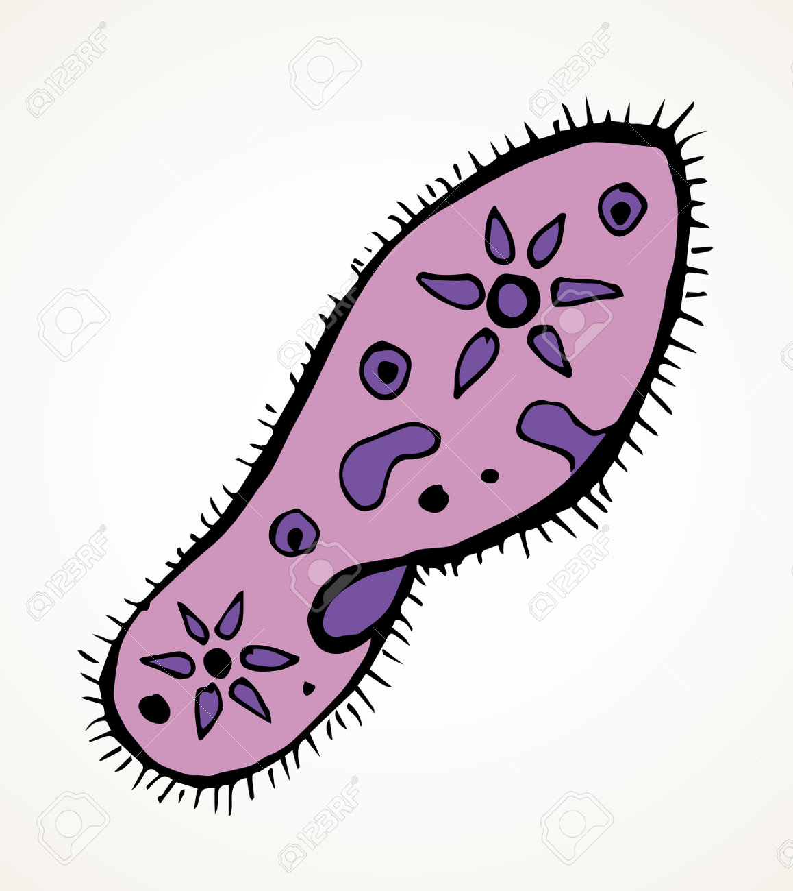 Forma Ovalada Abstracta Diminuta Protista Ameba Organelle Pellicle Elemento  Parásito. Línea Negra Dibujada A Mano Laboratorio Microbio Icono Signo  Símbolo Pictograma Diagrama Boceto Arte Garabato Diseño De Estilo De Dibujos  Animados. Vista