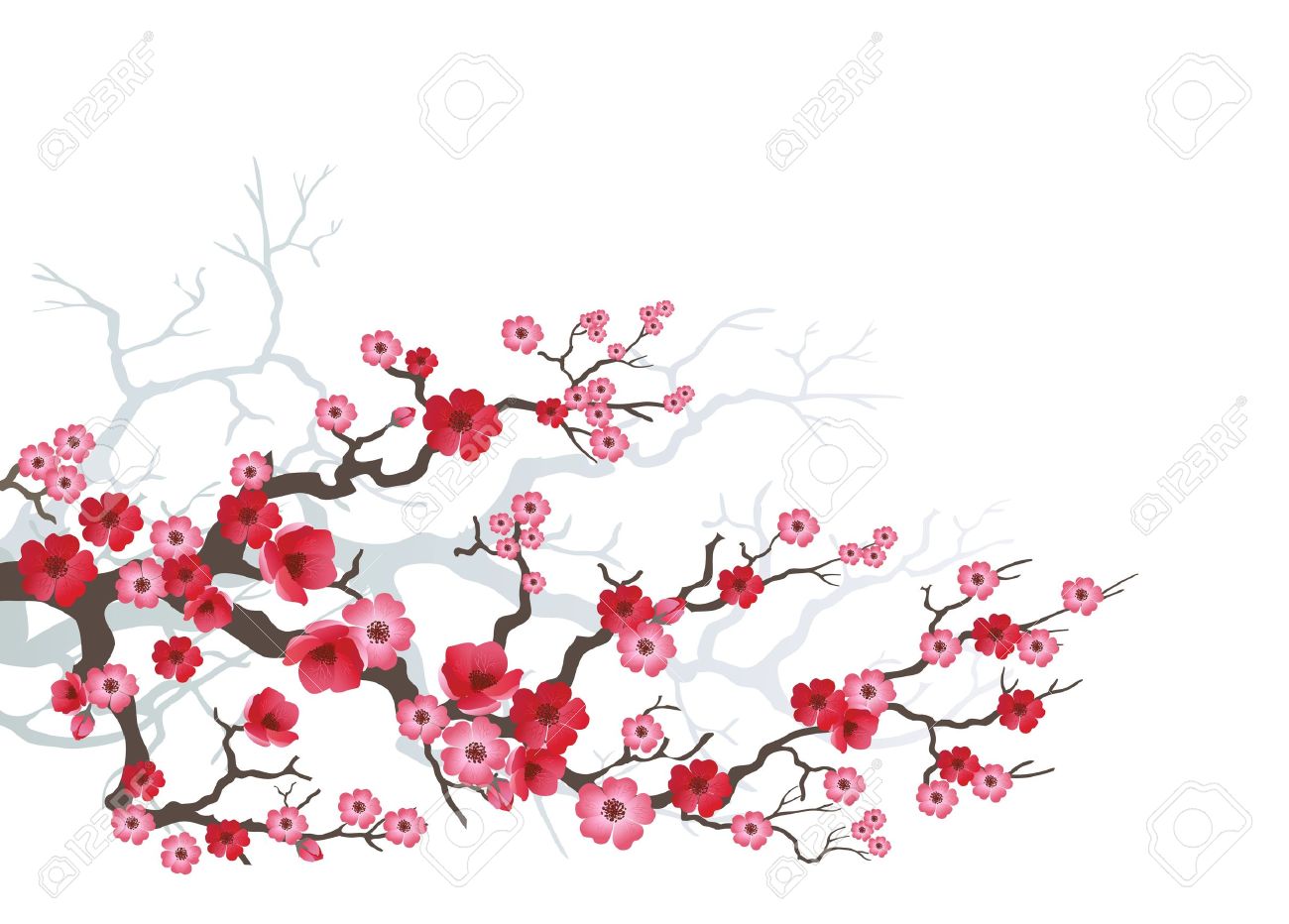 Background To Blooming Sakura Royalty Free Cliparts Vectors And