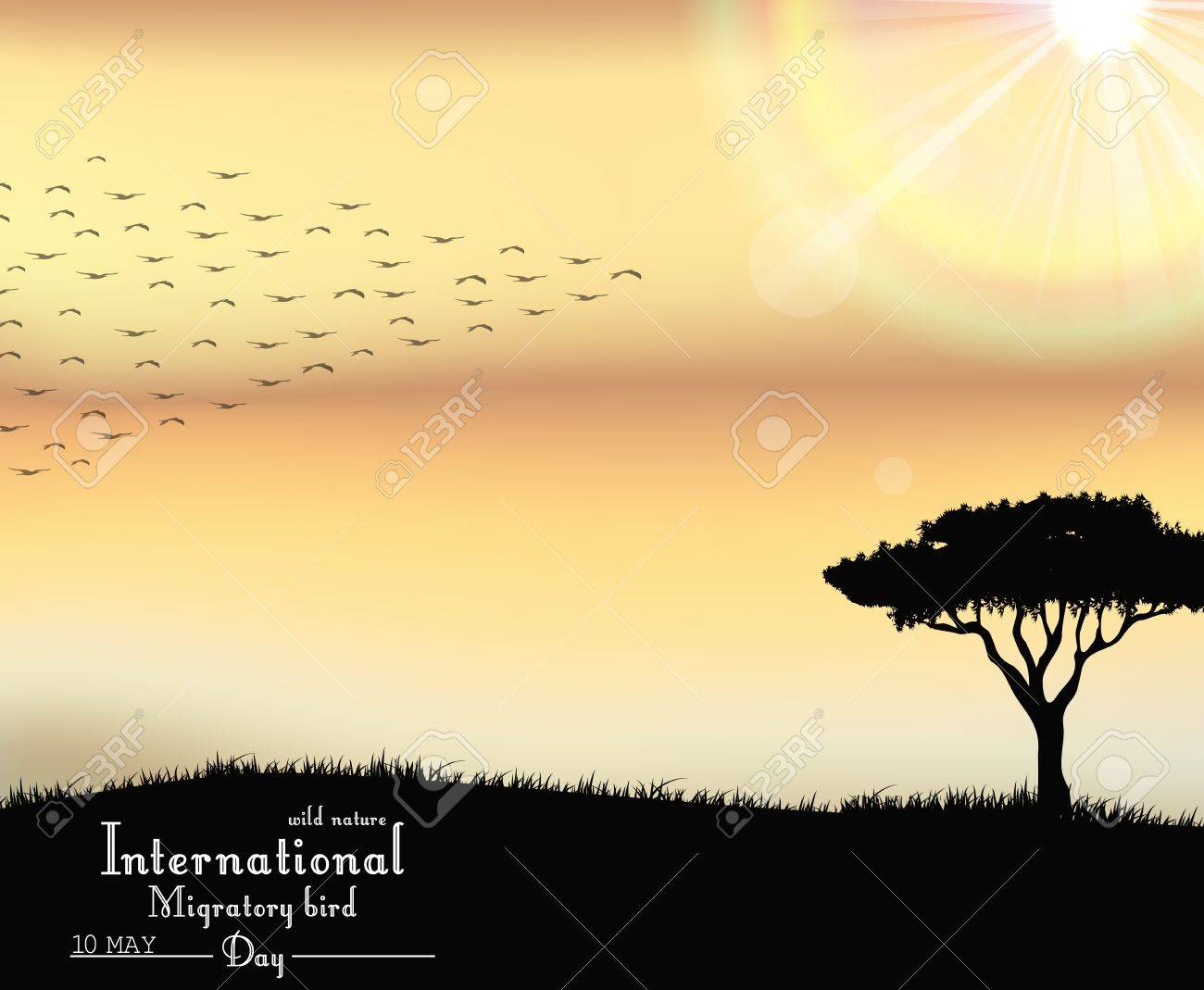 夕日を背景に鳥渡り鳥のベクトル図のイラスト素材 ベクタ Image