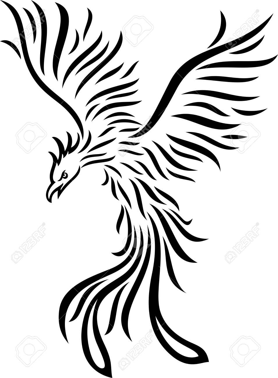 Beautiful And Elegant Phoenix Tattoo idea inspirational Black And White  Phoenix Tribal Tattoo design 24530782 Vector Art at Vecteezy