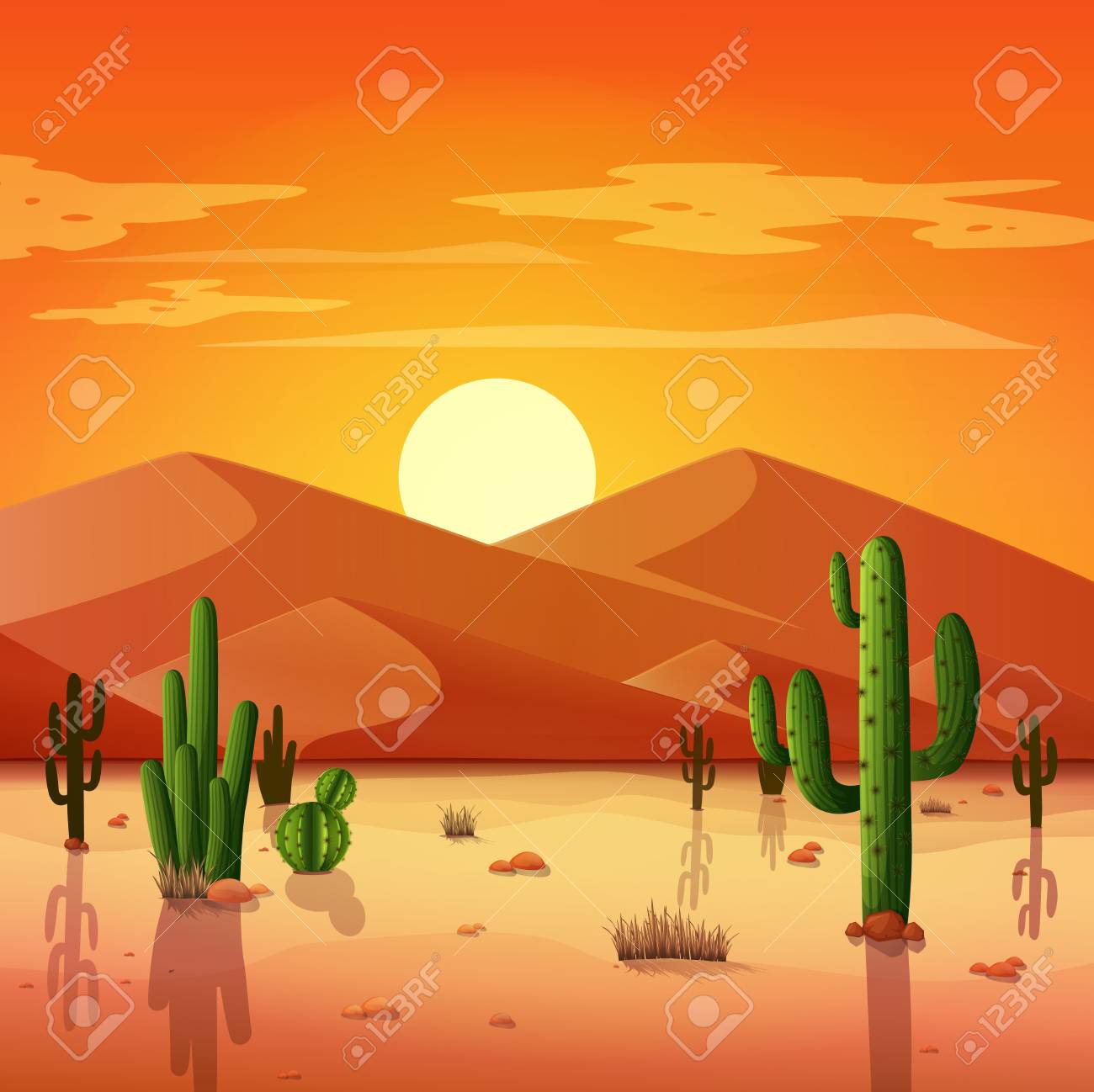 desert landscape