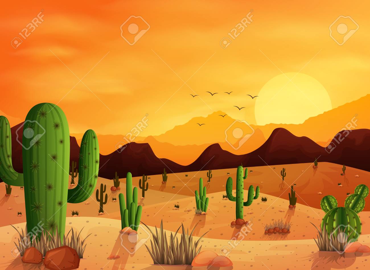desert landscape