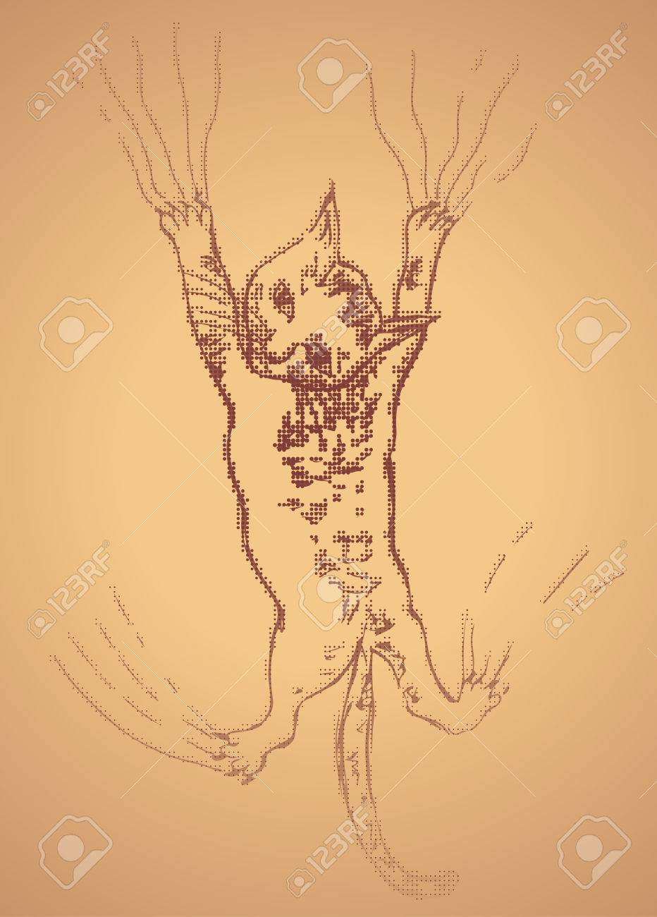 グランジは手壁を傷かわいい子猫の描き下ろしイラストです のイラスト素材 ベクタ Image