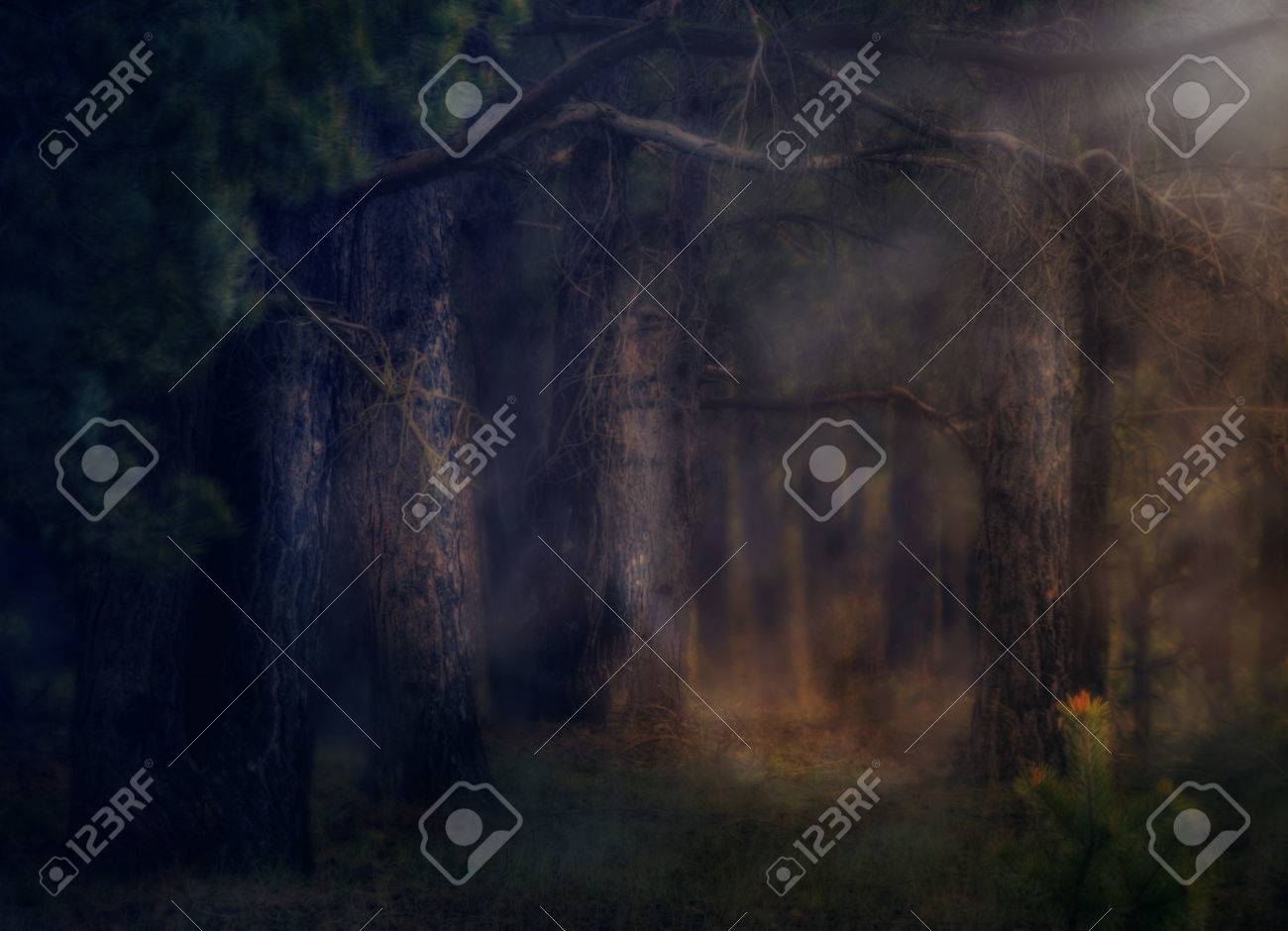dark deep magical forest with fog halloween background stock photo 40117098