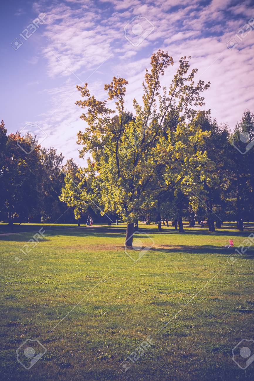Immagini Stock Bella Giornata Di Sole Nel Parco Della Citta Inizio Autunno Colori Vintage Image 52369715