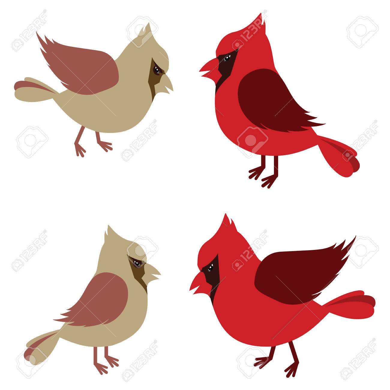 Cute Pair Of Cartoon Northern Cardinal Birds Illustration Royalty Free Cliparts Vectors And Stock Illustration Image 63698681