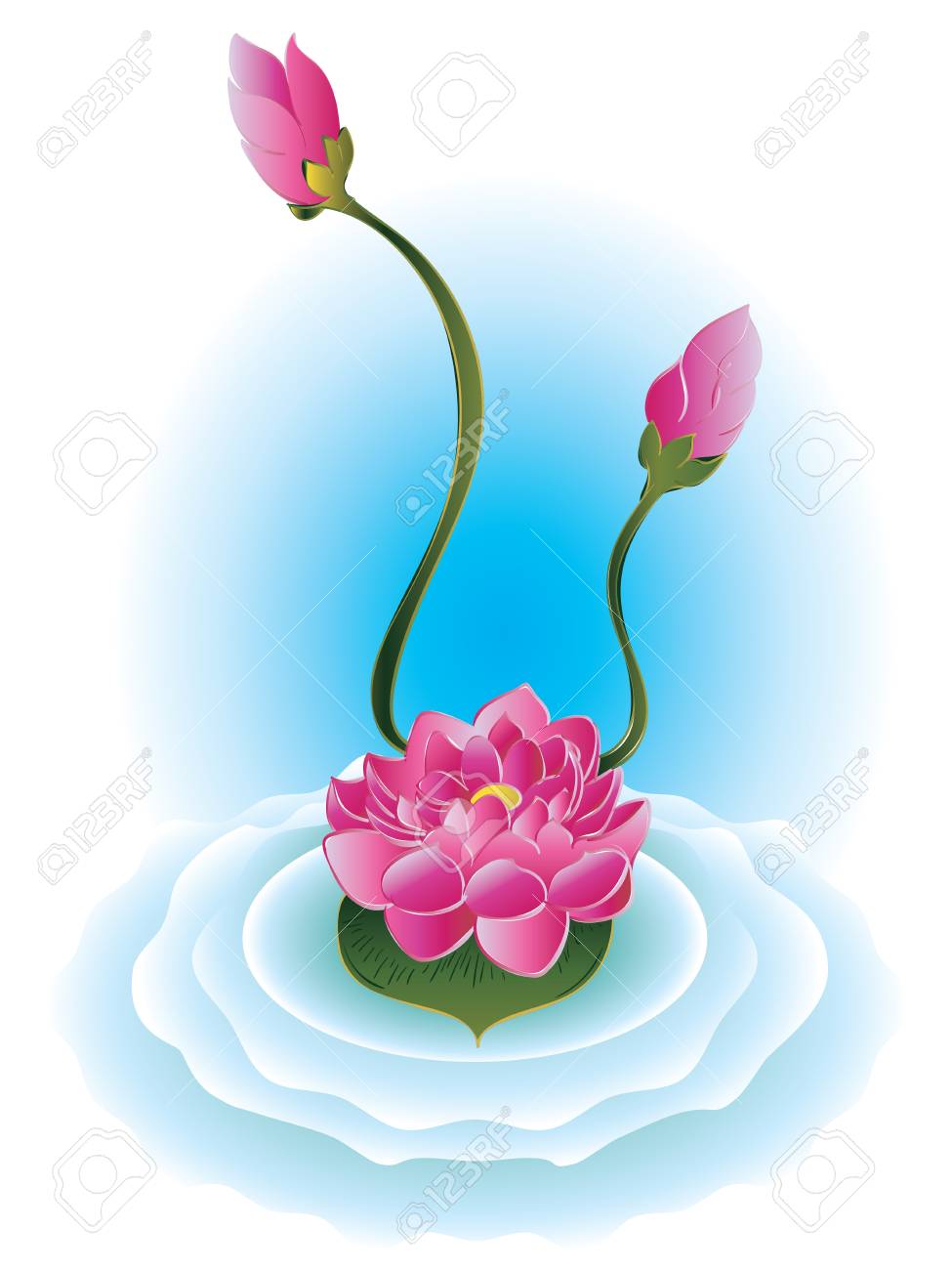 睡蓮 紫蓮花図白い背景の上 のイラスト素材 ベクタ Image