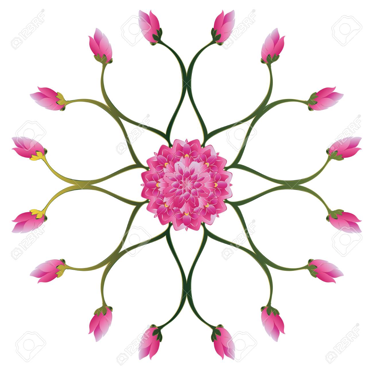 睡蓮 紫蓮花図白い背景の上 のイラスト素材 ベクタ Image