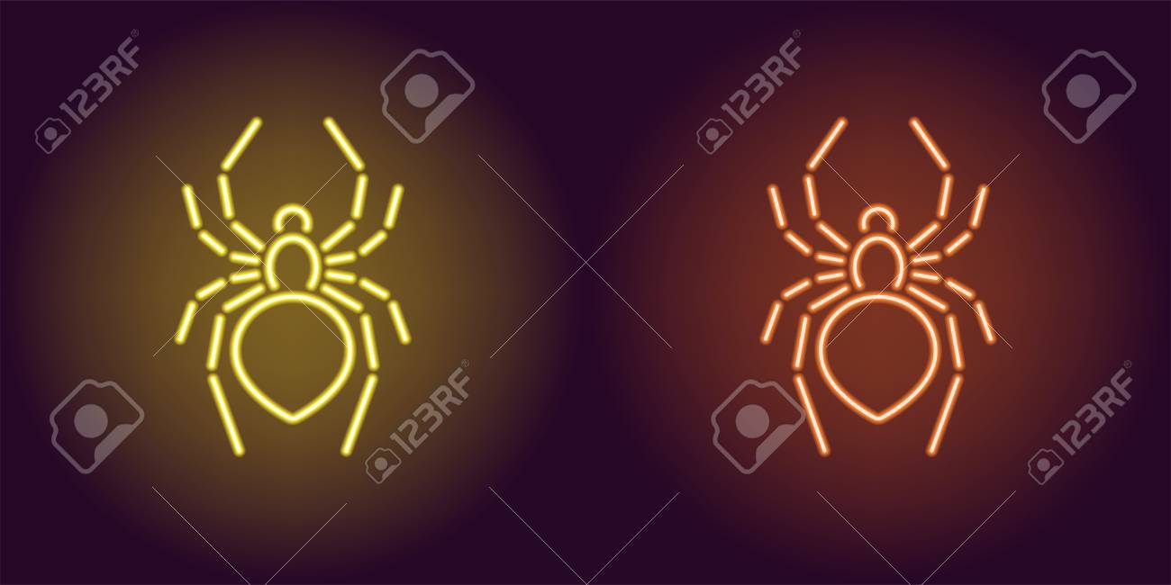 neon icon of yellow and orange spider illustration of neon spider spider outlines