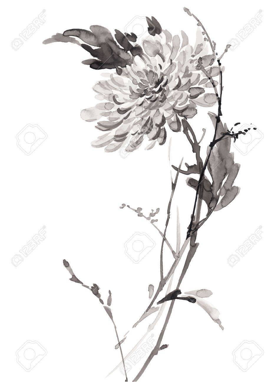 咲く菊の花のイラストをインクします スミ E U 罪 Gohua 絵画スタイル シルエットは 白い背景に分離された黒のブラシ ストロークから成っています のイラスト素材 ベクタ Image
