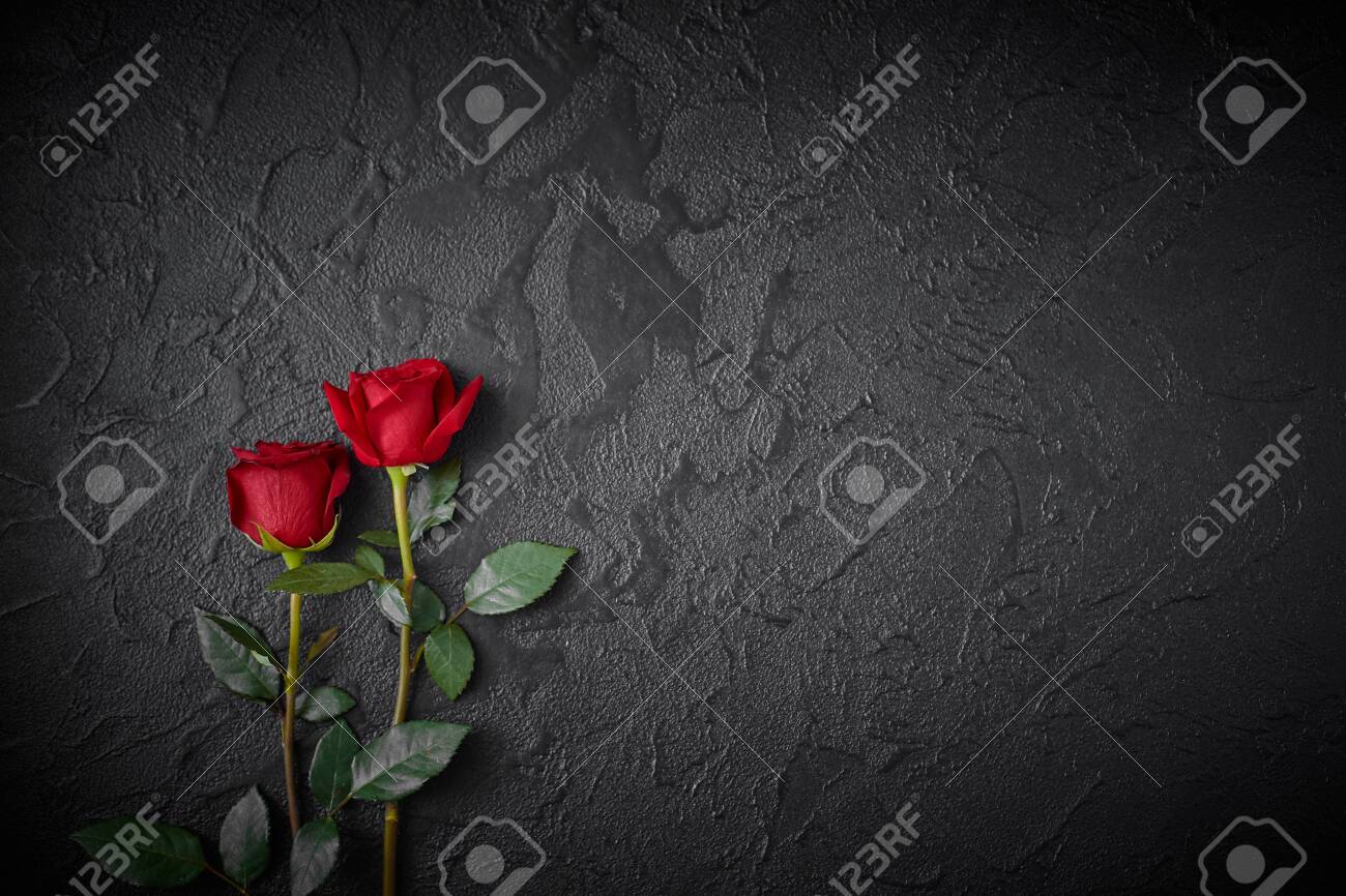 Two red roses on a dark, black textured background. Space for text - 131792035 Two red roses on a dark, black textured background. Space for text - 131792035