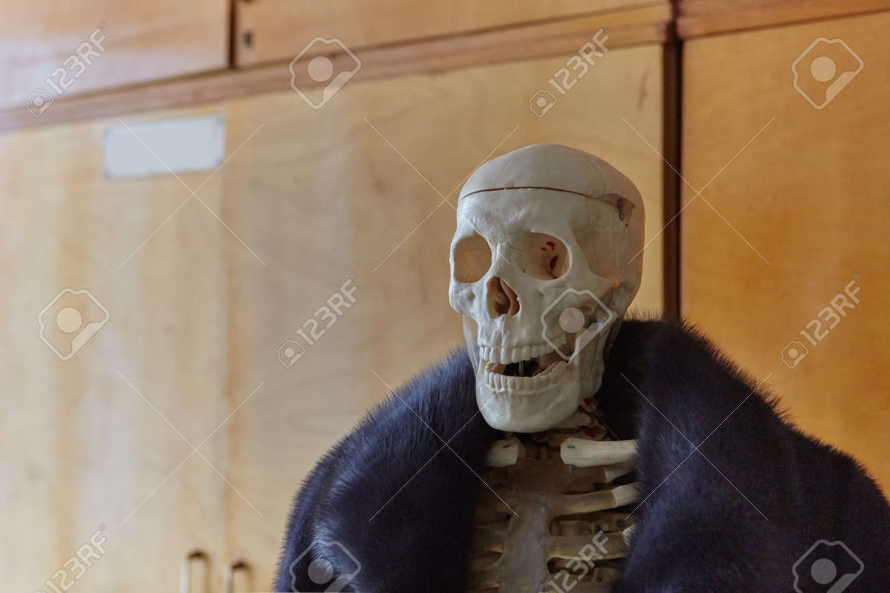Skeleton of a man in a fur coat made of natural animal fur. Concept of Halloween, environmental protection. - 158596245 Skeleton of a man in a fur coat made of natural animal fur. Concept of Halloween, environmental protection. - 158596245