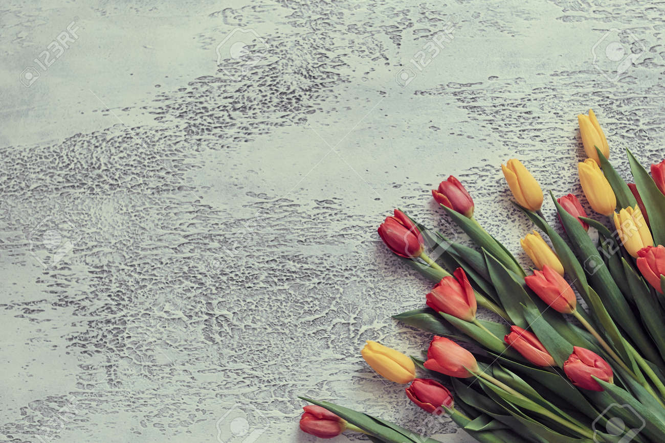 Beautiful tulips on a white textured background, top view, frame, border. Postcard with tulips for any event - 158596255 Beautiful tulips on a white textured background, top view, frame, border. Postcard with tulips for any event - 158596255