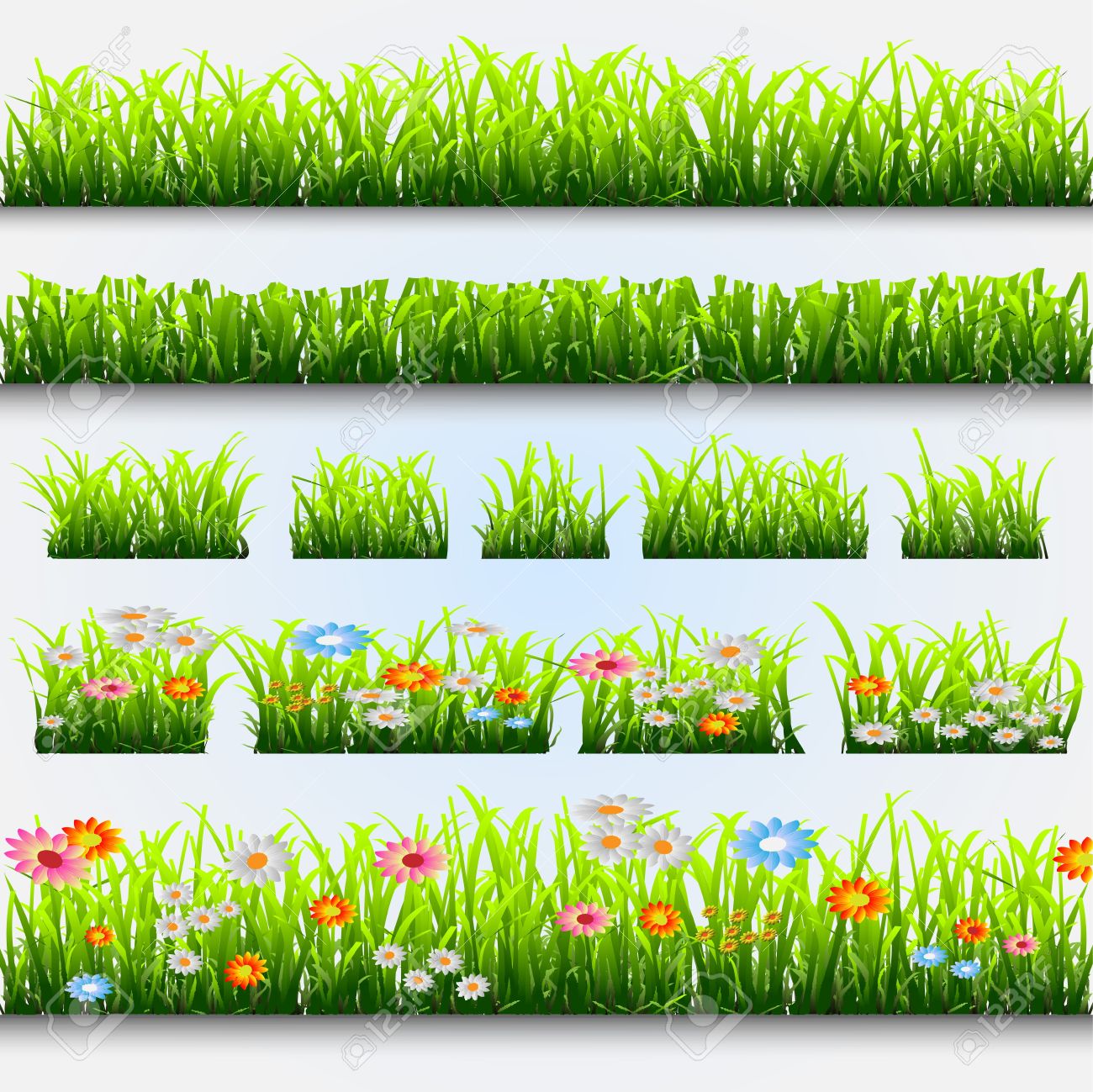 term paper herbal plants term paper herbal plants