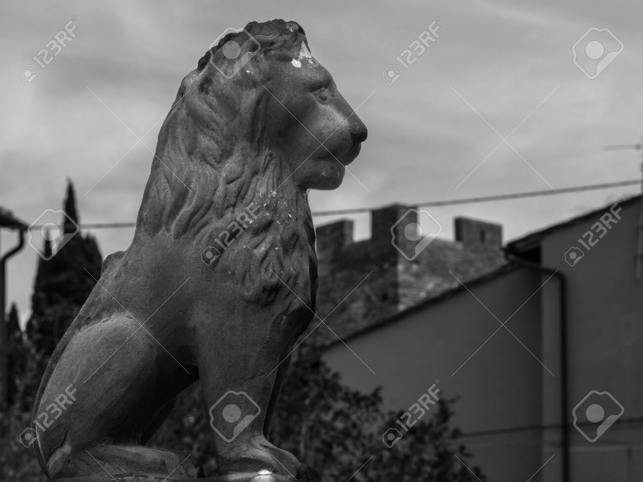 etiam-dictum-ipsum-a-felis