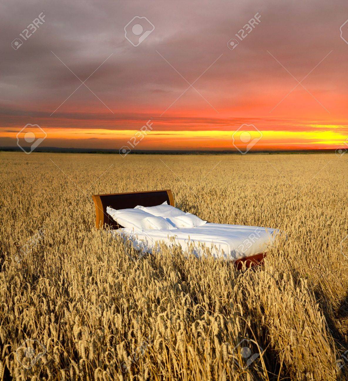 Bed In A Grain Field- Concept Of Good Sleep Stock Photo, Picture And Royalty Free Image. Image 20129611.