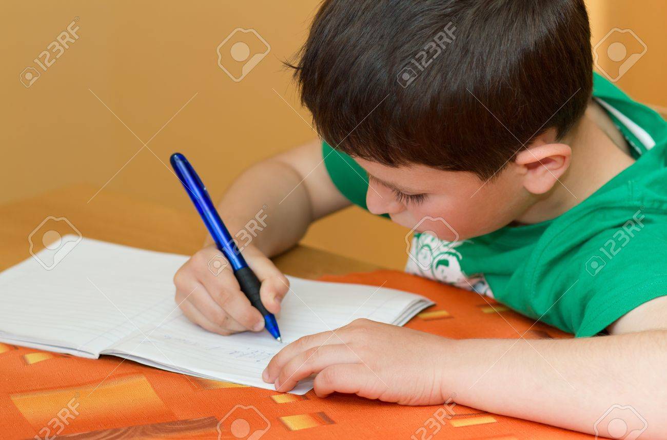 write my home work write my home work