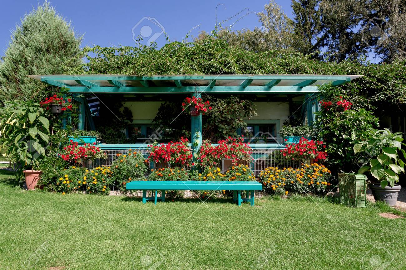 Belle Conception De Jardin Dété Avec Des Arbres Conifères Lherbe Verte Et Le Soleil Du Matin Herbe Cut Professional Concept De Jardinage De Luxe