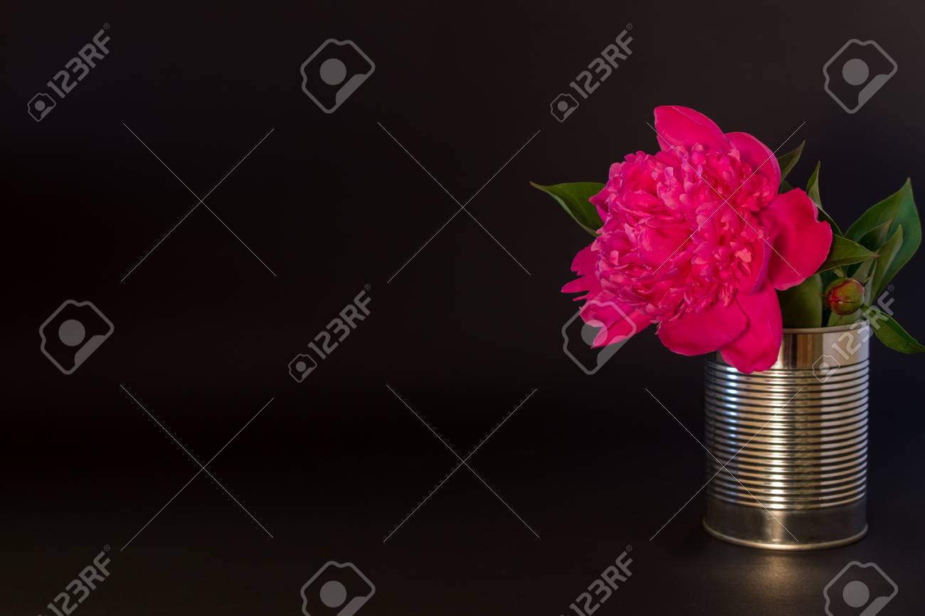 Grande Fleur Rose Pivoine Feuilles En étain Sur Un Fond Noir Texture