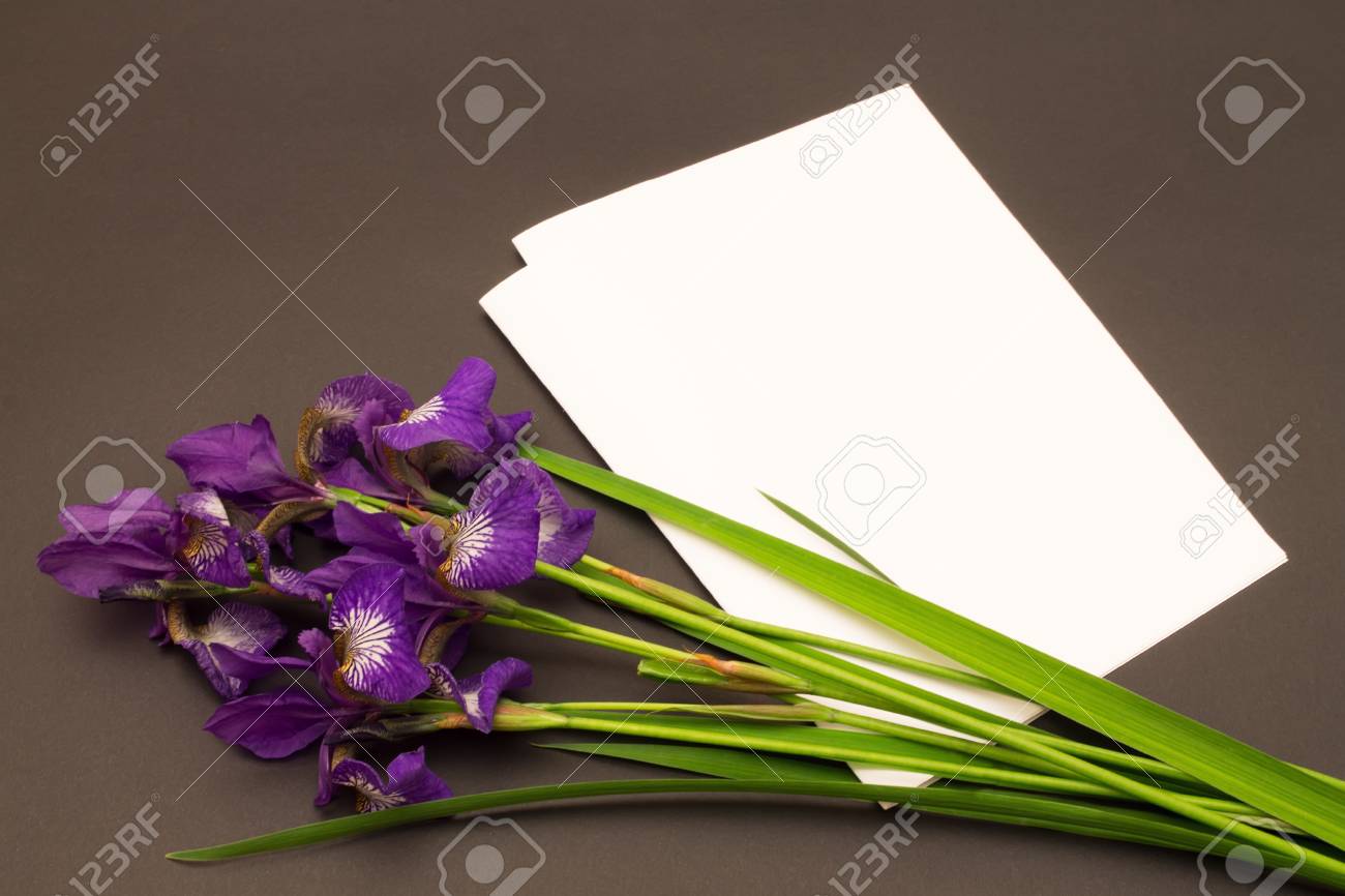 bunch of purple iris flowers and a blank sheet of paper on dark paper iris flower