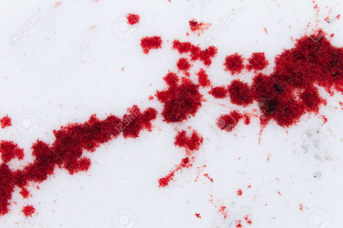 Blood on the Snow
